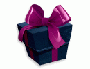 Romantic Action Pack ML2022 XO2022 VIP2022