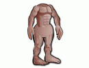 Medium Adam Full Body Contour GE2022