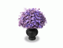 Violet Floral Arrangement BN2025