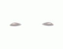 Ivory Pixetta Luna Highlight DC2025 HW2025