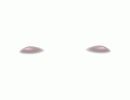 Pink Pixetta Luna Highlight DC2025 HW2025