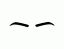 Black Pixetta Luna Brows DC2025 HW2025
